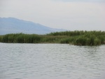 38559CIMG0088.JPG