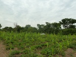 18402P1000238.JPG