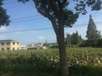 2017-09-12_14-04-42_3DF4F066-F2E1-4828-8EE6-DB9DCCE840CF.jpg