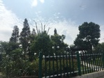 2017-09-12_12-46-29_0F6FBC6F-E962-456E-8305-9E51013E08C2.jpg