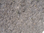 8145vp-025-Rangeland, short grasses and open lands-a.jpg
