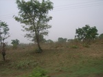 3913RIMG0217.JPG