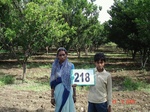 127780218a-irrigated-supplemental-groundwater-tubewell-orange-orchard.gif