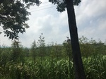 2017-09-12_12-31-06_251D4364-6D61-4965-A841-641615631FD8.jpg
