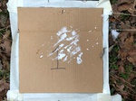 2020-10-30_10-44-36_Lake Arcadia Feb 15-2020 Trap 1.png