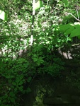 2018-06-26_19-31-30_25C0724F-D718-4C6F-AFF7-96A5731D954C.jpg