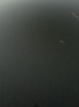 2020-10-02_12-46-28_A49D396F-3267-471C-B71B-54E5382DCDBD.jpg