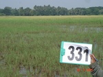 131950331c-rainfed-agriculture-rice-doublecrop-chickpea-greengram.gif
