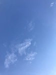 2020-08-03_21-12-43_2020-7-29-18-23-10.jpg