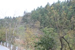 2019-12-06_16-59-20_4E8A0302.JPG