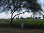 7877gt074b-rainfed-supplemental.jpg