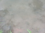 2012-09-07_10-06-09_CIMG6649.JPG