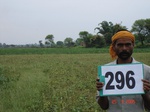 73780296c-rainfed-agriculture-soyabean-dominant-blackgram-doublecrop-wheat.jpg