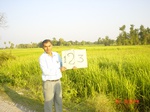 6674gt123-cropland-2.jpg