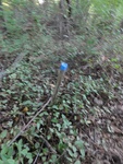 2012-09-24_10-40-25_DSC03049.JPG