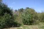 176IMG_4072.JPG