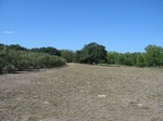 2012-10-04_17-41-51_HOHCamp-north.jpg