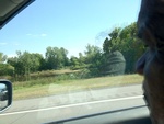 58022IMG_0988.JPG