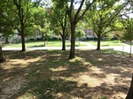 2012-09-24_21-08-55_CIMG0012.JPG