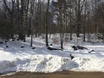2017-03-02_10-08-21_Feb17-152-NH.jpg