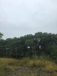 2017-09-10_07-06-59_92BBEA31-EA7F-4DA5-9AB1-D1E62553D1B4.jpg