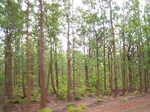 17456100_2145.JPG