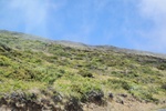 2018-07-06_17-07-27_2018-06-12 15.23.57.jpg