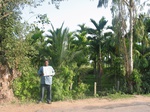 7762gt019b-irrigated-rice-tunga.jpg