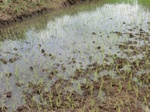 2012-09-07_10-00-15_CIMG6607.JPG