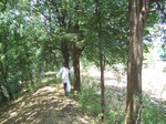 1780524042008(61).JPG