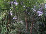 548911052008(69).JPG