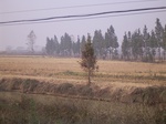 3077 010.jpg