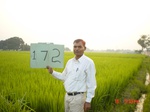 11409gt172-cropland-2.jpg