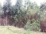 5558100_0947.JPG