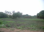 4057RIMG0361.JPG
