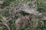 4205IMG_8843.JPG