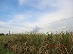 2012-09-26_20-50-02_CIMG1074.JPG
