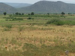526527042008(43).JPG