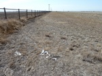 39224HOOK20110914S.JPG