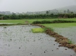 2012-09-07_10-16-16_CIMG6700.JPG