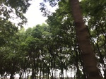 2017-09-12_11-05-36_A3AE5FBF-82AA-488E-B8EF-C4282FAFD647.jpg