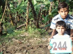 72040244d-irrigated-supplemental-groundwater-banana.jpg