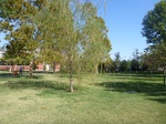 39561P1010177.JPG