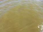2012-09-21_14-27-10_CIMG0143.JPG