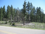 2012-10-05_19-36-51_NM-OT-1-3.JPG