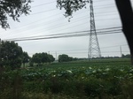 2017-09-10_20-42-27_91E9A8F3-1FE9-44F1-8ABF-56965882F13E.jpg