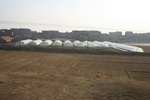 4463IMG_7004.jpg
