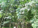 546611052008(36).JPG