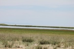 38825Canon Aug 1 101.jpg