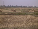 3290R0017324.JPG